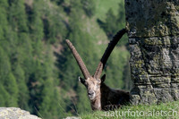 _DSC0017