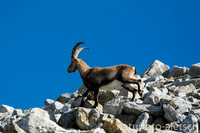 _8144237 - Kopie