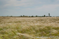 NP Kiskunsag-2 Ungarn