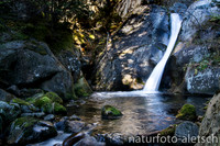 Glingelwasser (Fieschertal)
