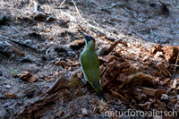 GS3